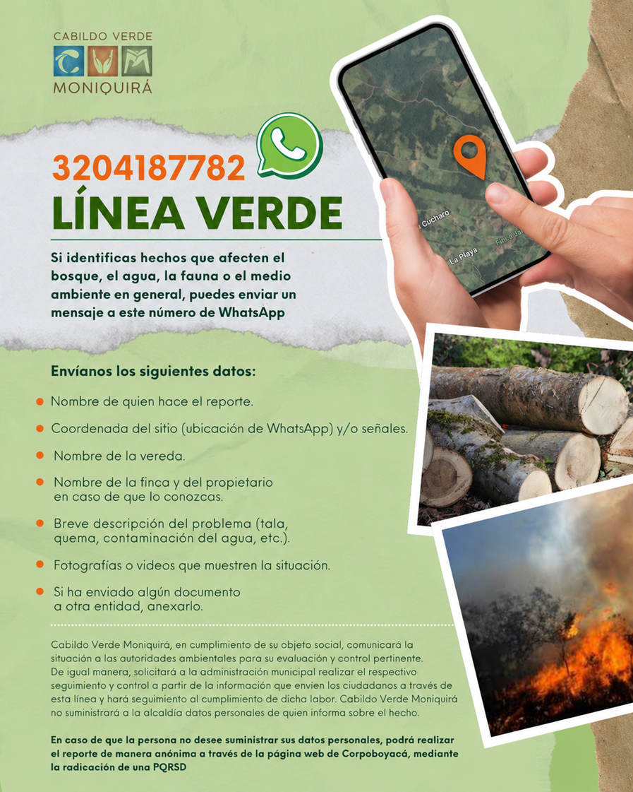 flayer linea verde liviana