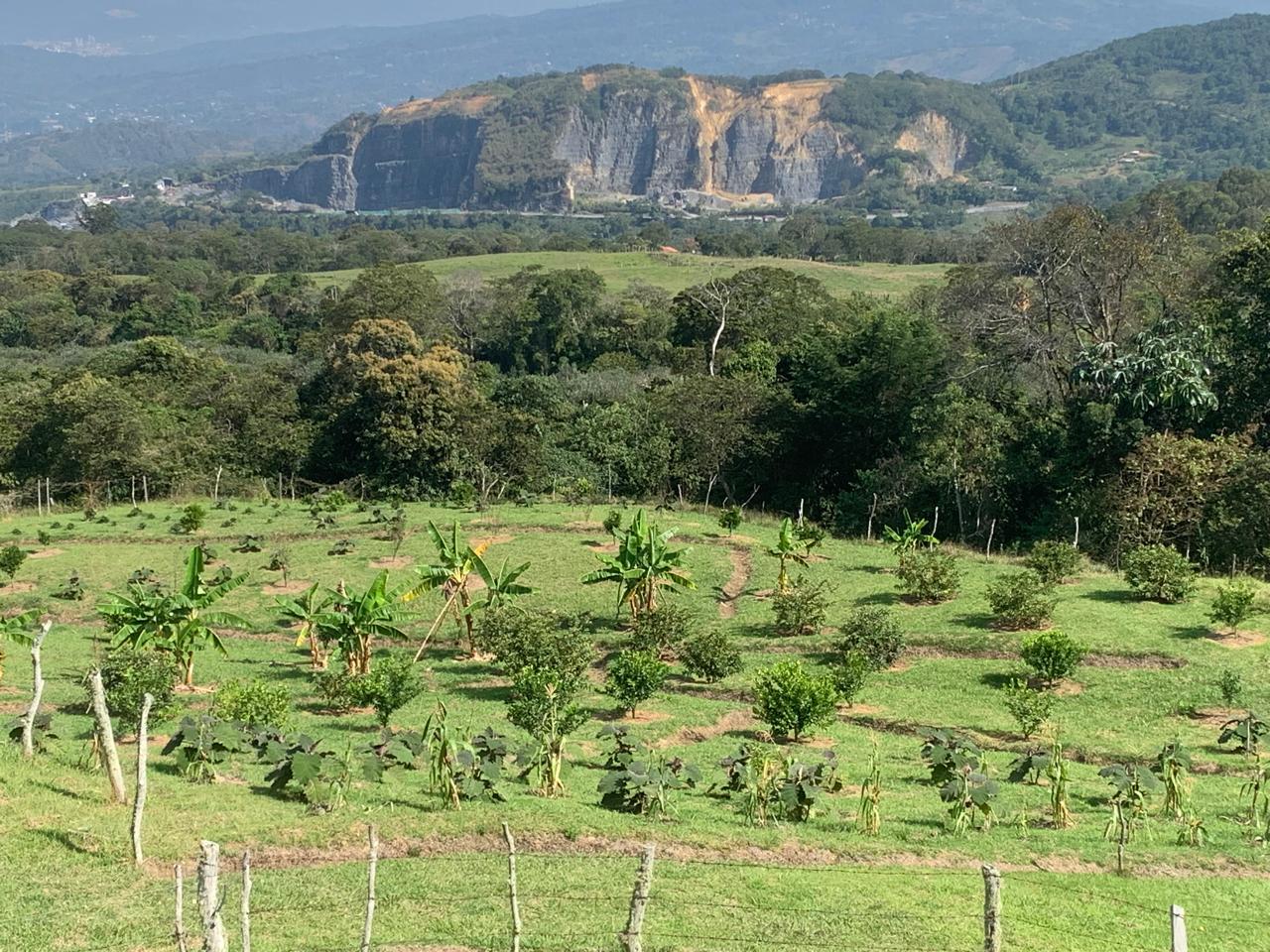 Avanza demanda por la protección del medio ambiente de Moniquirá